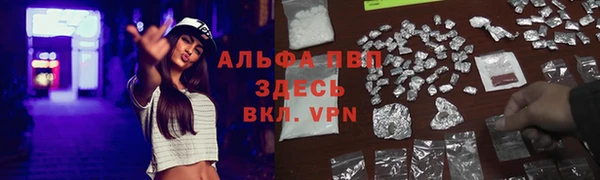 бошки Арсеньев