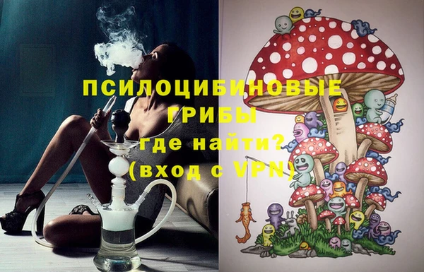 бошки Арсеньев