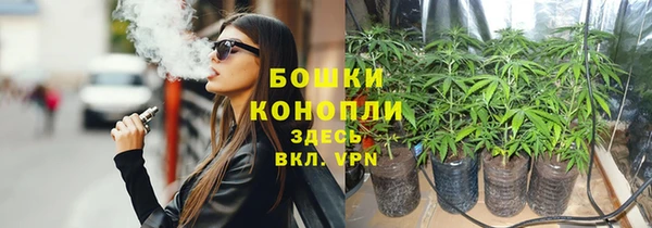 бошки Арсеньев