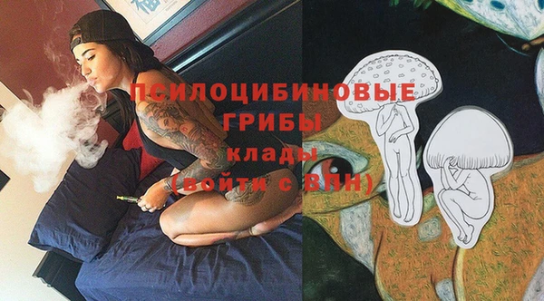 бошки Арсеньев